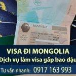 dịch vụ làm visa đi mongolia công tác du lịch bao đậu evisa