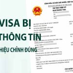 cách xử lý evisa bị sai thông tin