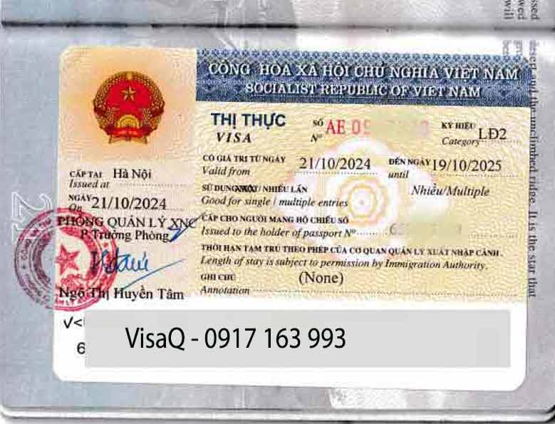 chuyển đổi e visa sang visa lao động lđ