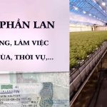 xin visa lao động phần lan giấy phép cư trú làm việc